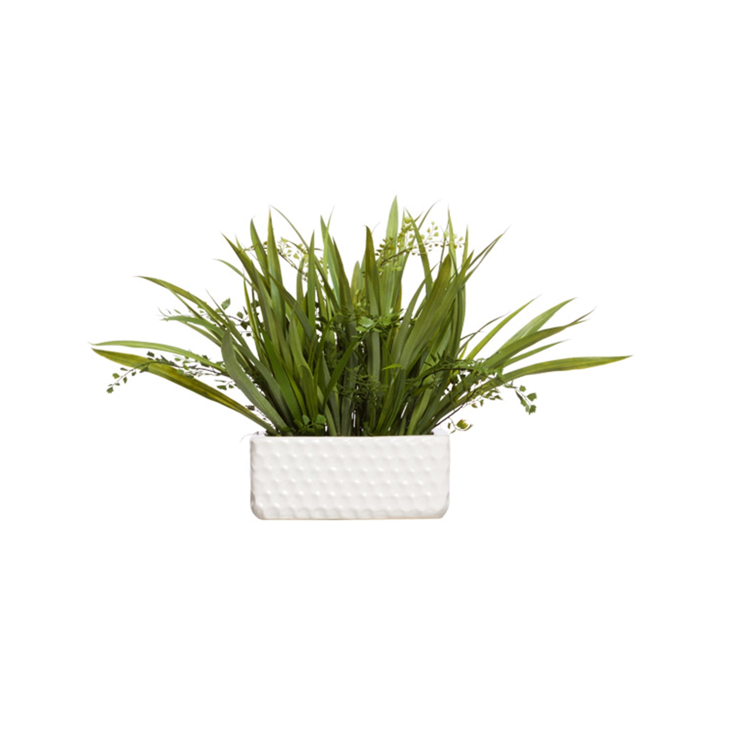 Grass/Fern in White Rect Pot