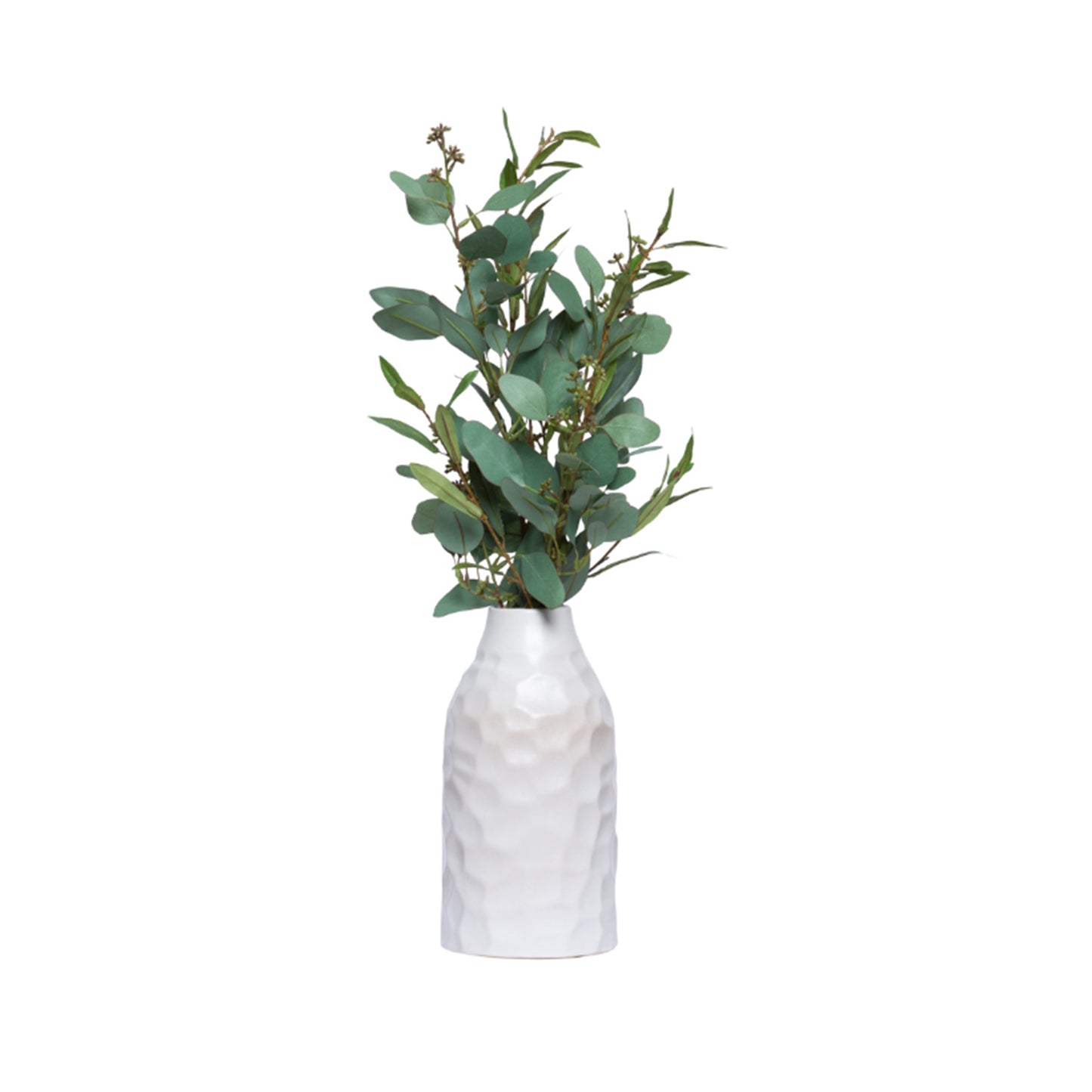 Olive Branch in White Bottle Vase