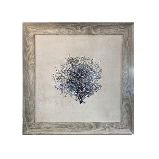 Blue Sea Fan Framed Art