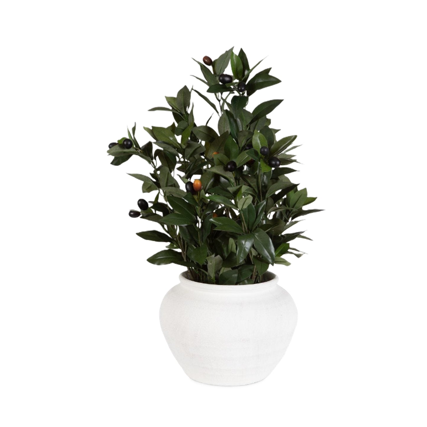 Elena Olive Centerpiece