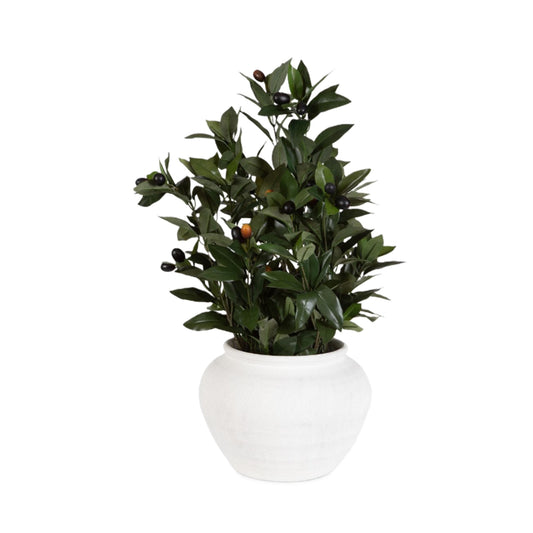 Elena Olive Centerpiece