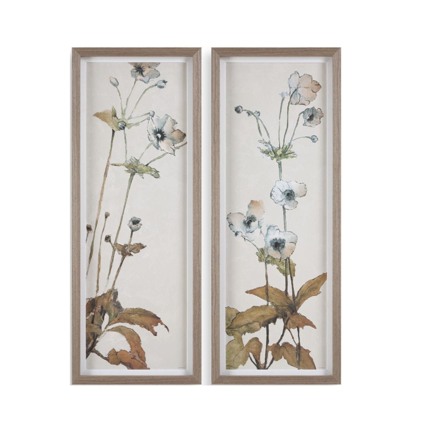 Garden Study Framed Canvas S/2